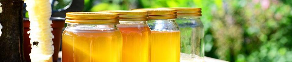 miel des abeilles