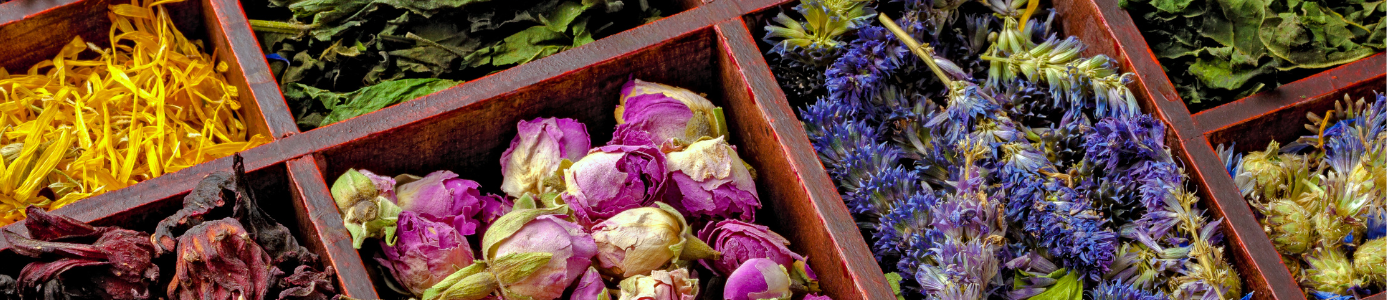 Plantes aromatiques 