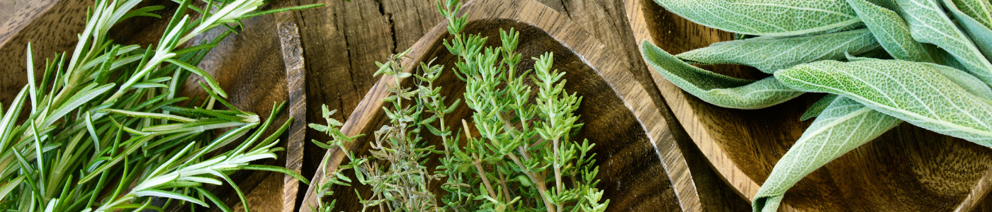 plantes aromatiques