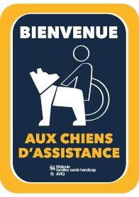 chiens d'assistance 